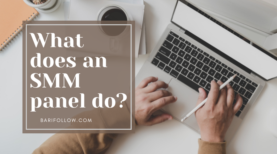 What does an SMM panel do?